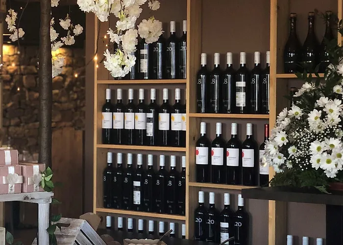 酒店 Parco Degli Aromi &